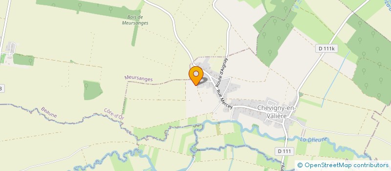 localisation de l'entreprise MONSIEUR DAVID GUERREIRO  CHEVIGNY-EN-VALIERE