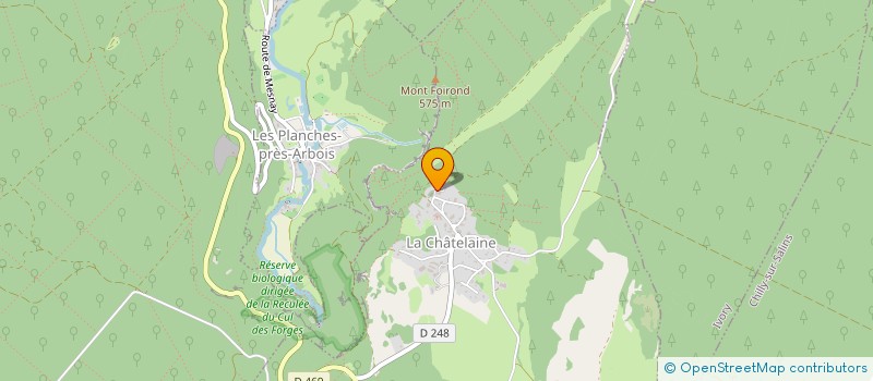 localisation de l'entreprise MONSIEUR DAVID GUYON  LA CHATELAINE