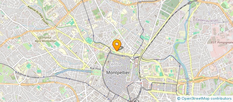 localisation de l'entreprise MONSIEUR DAVID HAMERMAN à MONTPELLIER