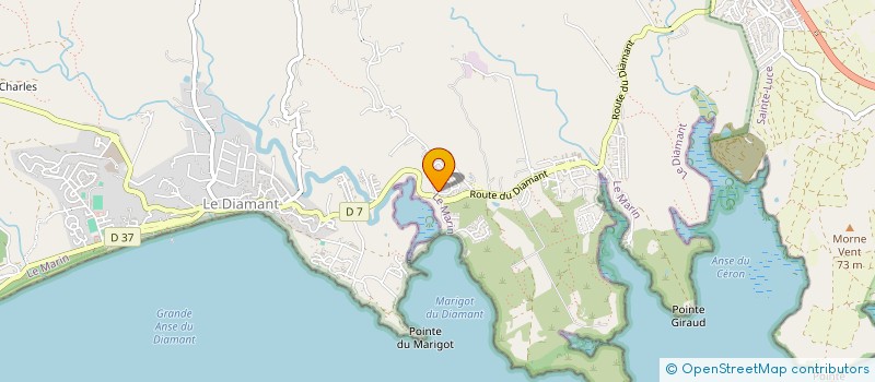 localisation de l'entreprise MONSIEUR DAVID HERVE  LE DIAMANT