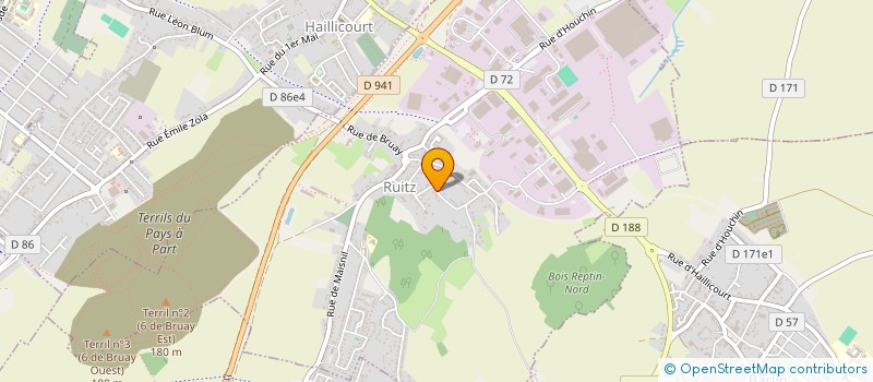 localisation de l'entreprise MONSIEUR DAVID HORN  RUITZ