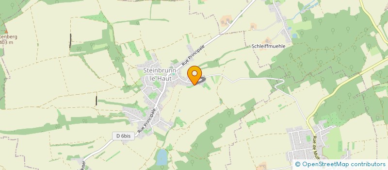 localisation de l'entreprise MONSIEUR DAVID HUGUES BROEGLIN  STEINBRUNN-LE-HAUT