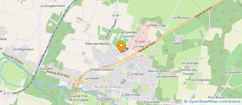 localisation de l'entreprise MONSIEUR DAVID IGOUT  AZAY-LE-RIDEAU