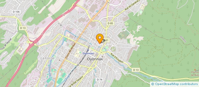 localisation de l'entreprise MONSIEUR DAVID ION-IULON à OYONNAX
