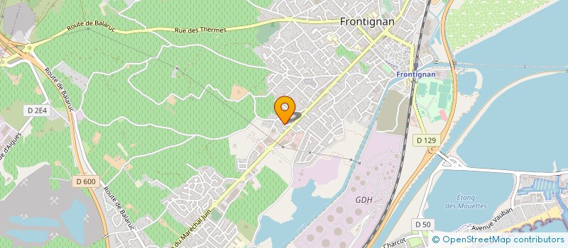 localisation de l'entreprise MONSIEUR DAVID JEGOU  MIREVAL