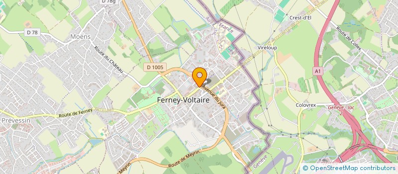 localisation de l'entreprise MONSIEUR DAVID KIRCHNER à FERNEY-VOLTAIRE