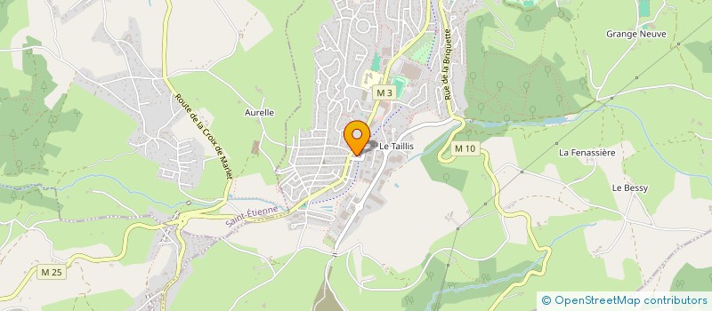 localisation de l'entreprise MONSIEUR DAVID LASSABLIERE  ROCHE-LA-MOLIERE