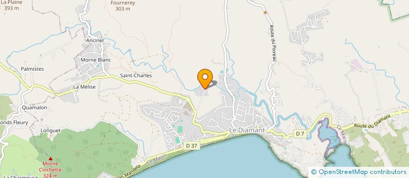 localisation de l'entreprise MONSIEUR DAVID LAURENT  DIAMANT