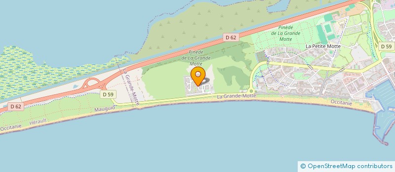 localisation de l'entreprise MONSIEUR DAVID LEATHER  LA GRANDE-MOTTE
