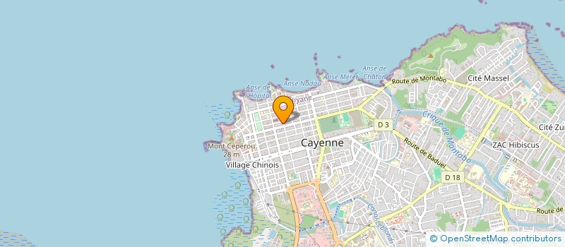localisation de l'entreprise MONSIEUR DAVID LEITE DA SILVA  CAYENNE