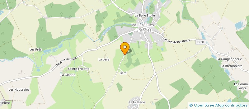 localisation de l'entreprise MONSIEUR DAVID LEVANT  VALLIERES-LES-GRANDES