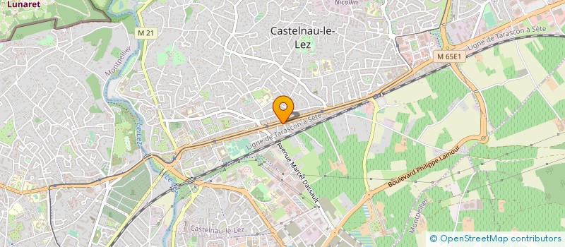 localisation de l'entreprise MONSIEUR DAVID LIEVRE à MONTPELLIER