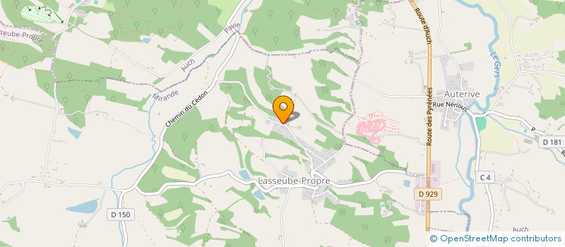 localisation de l'entreprise MONSIEUR DAVID LINTZ  LASSEUBE-PROPRE