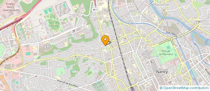 localisation de l'entreprise MONSIEUR DAVID MAMELLE  NANCY