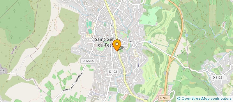 localisation de l'entreprise MONSIEUR DAVID MENDOZA  SAINT-GELY-DU-FESC