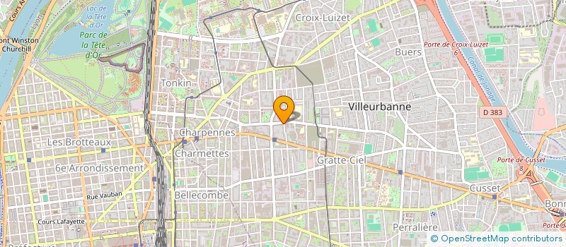 localisation de l'entreprise MONSIEUR DAVID MERIRES  VILLEURBANNE