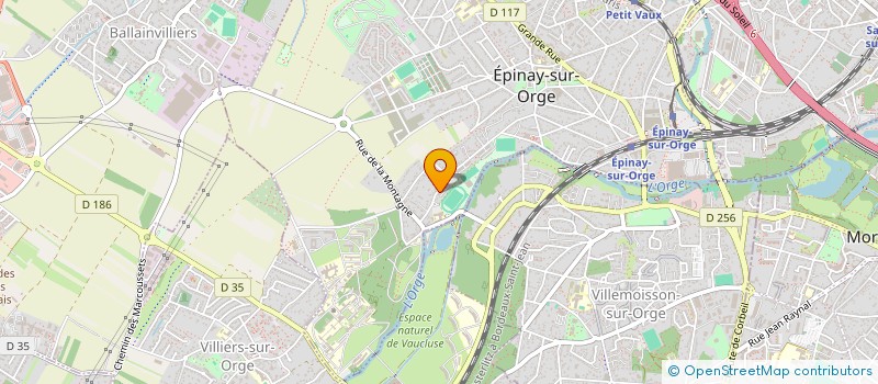 localisation de l'entreprise MONSIEUR DAVID MIGUEL ALVA  EPINAY-SUR-ORGE