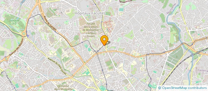 localisation de l'entreprise MONSIEUR DAVID MISTRAL  MONTPELLIER