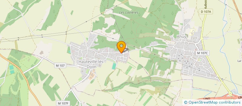 localisation de l'entreprise MONSIEUR DAVID MORET  HAUTEVILLE-LES-DIJON