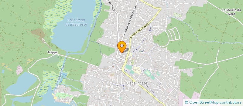 localisation de l'entreprise MONSIEUR DAVID MULLER  BISCARROSSE