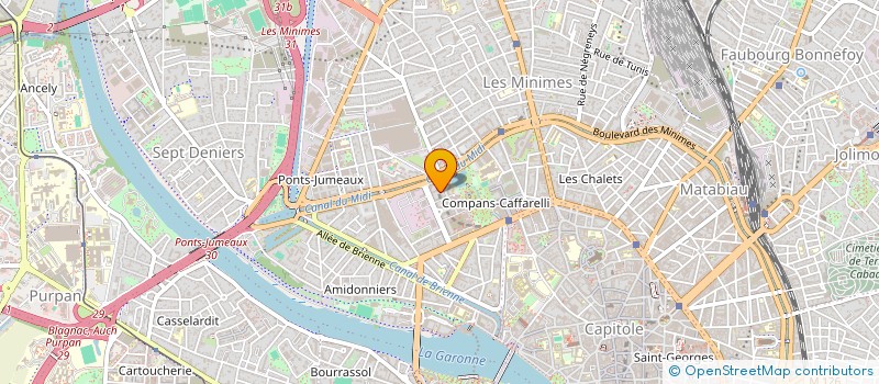 localisation de l'entreprise MONSIEUR DAVID NGUYEN  TOULOUSE