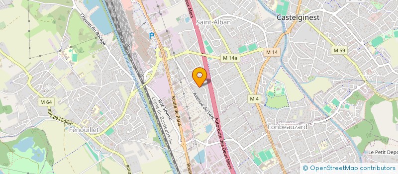 localisation de l'entreprise MONSIEUR DAVID NICOTA  SAINT-ALBAN