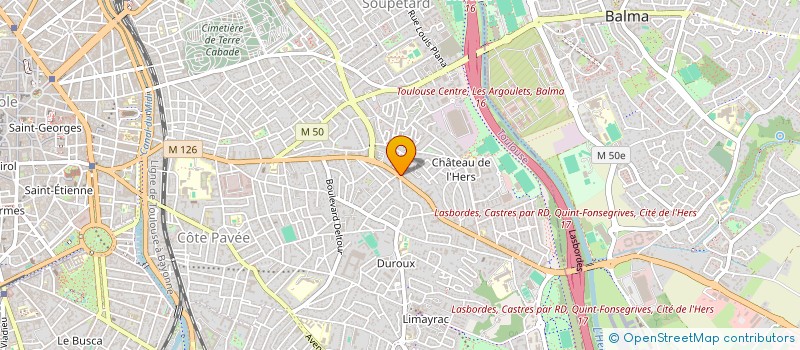 localisation de l'entreprise MONSIEUR DAVID NOEL  TOULOUSE