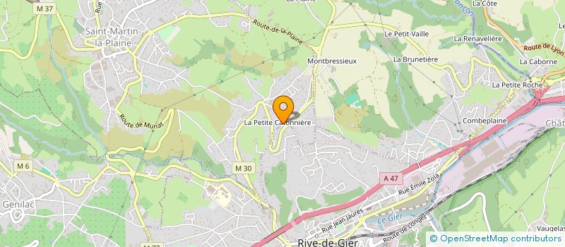 localisation de l'entreprise MONSIEUR DAVID OGERET à RIVE-DE-GIER
