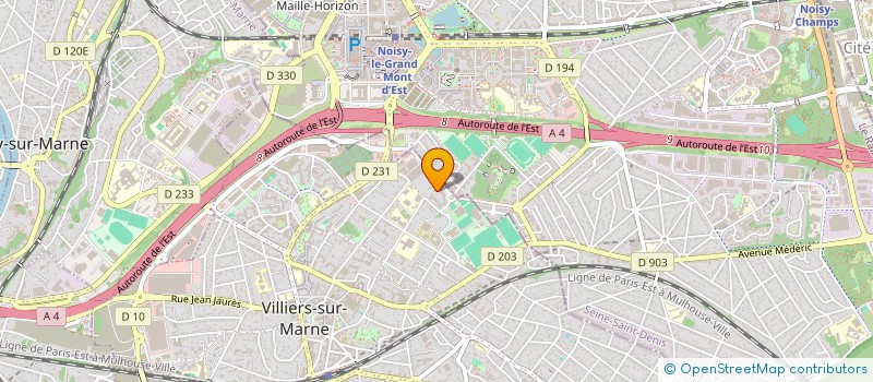 localisation de l'entreprise MONSIEUR DAVID ORNELAS  CHAMPS-SUR-MARNE