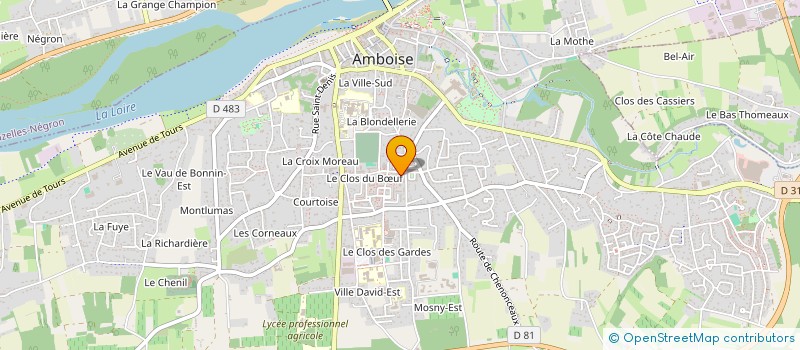 localisation de l'entreprise MONSIEUR DAVID OWEN  AMBOISE