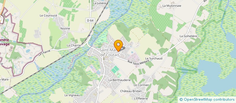 localisation de l'entreprise MONSIEUR DAVID PATRU à SAINT-MARS-DE-COUTAIS