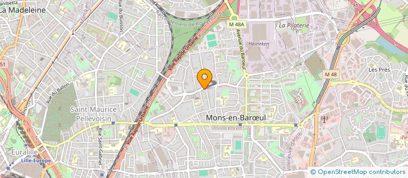 localisation de l'entreprise MONSIEUR DAVID PELICIER  MONS-EN-BARUL