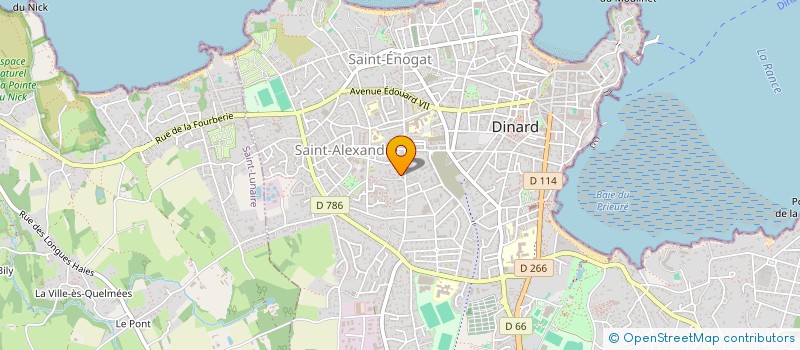 localisation de l'entreprise MONSIEUR DAVID PELLE  DINARD