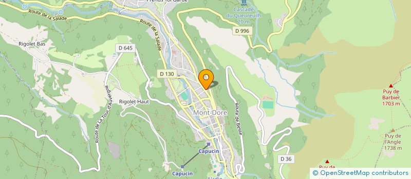 localisation de l'entreprise MONSIEUR DAVID PETIT  MONT-DORE