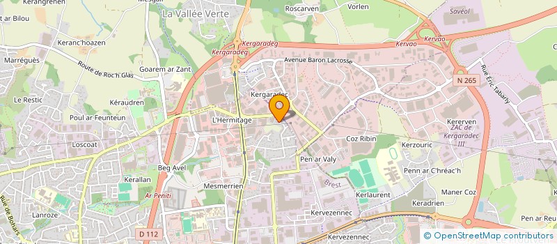 localisation de l'entreprise MONSIEUR DAVID PINTO à BREST