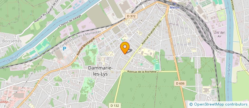 localisation de l'entreprise MONSIEUR DAVID PINTO DA SILVA à DAMMARIE-LES-LYS