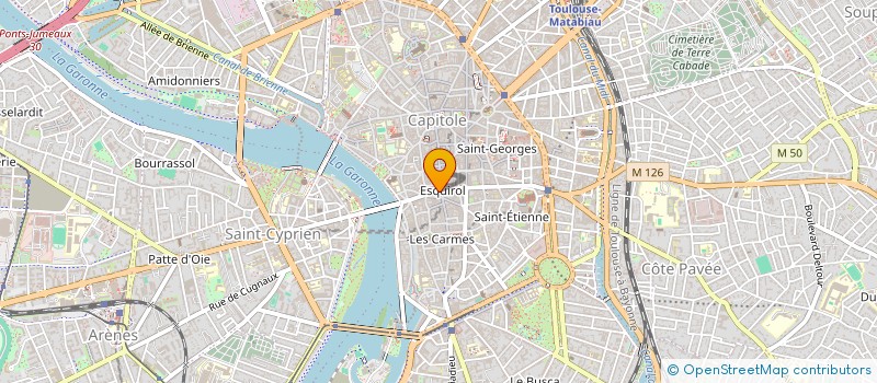 localisation de l'entreprise MONSIEUR DAVID POUGNAND  TOULOUSE