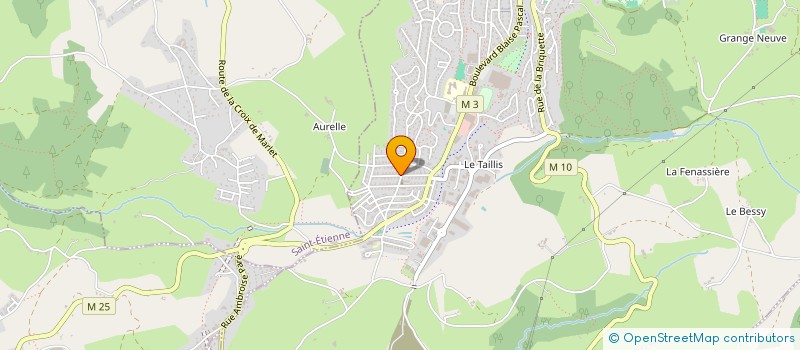 localisation de l'entreprise MONSIEUR DAVID PRIOLON  ROCHE-LA-MOLIERE