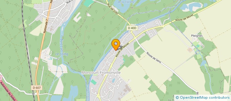 localisation de l'entreprise MONSIEUR DAVID PUISSEGUR  SAINT-PIERRE-LES-NEMOURS