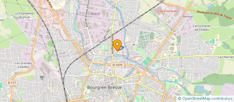 localisation de l'entreprise MONSIEUR DAVID REI  BOURG-EN-BRESSE