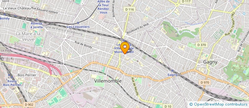 localisation de l'entreprise MONSIEUR DAVID RETHERS  VILLEMOMBLE