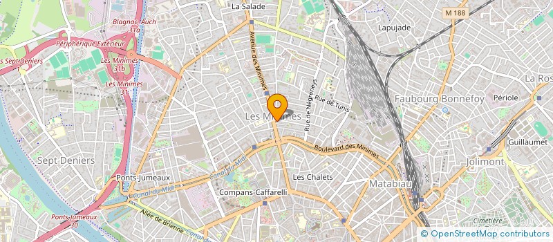 localisation de l'entreprise MONSIEUR DAVID REVOY à TOULOUSE
