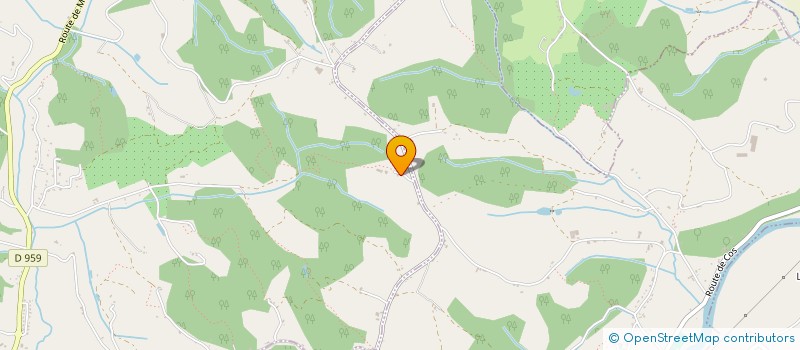 localisation de l'entreprise MONSIEUR DAVID REY  L HONOR-DE-COS