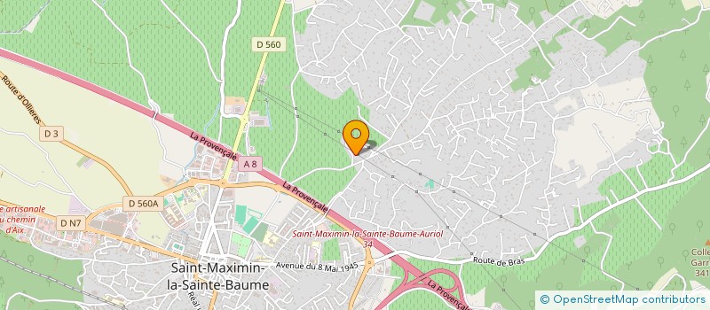 localisation de l'entreprise MONSIEUR DAVID REYMANN à ST MAXIMIN LA STE BAUME