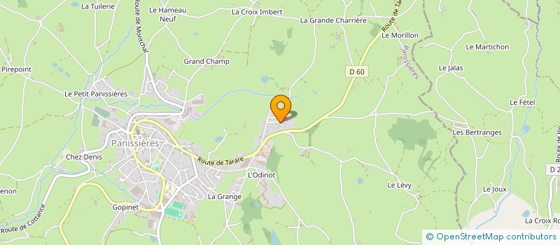 localisation de l'entreprise MONSIEUR DAVID REYNAUD  PANISSIERES