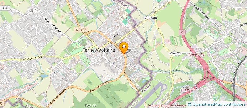 localisation de l'entreprise MONSIEUR DAVID RICARDO CANDEBAT à FERNEY-VOLTAIRE