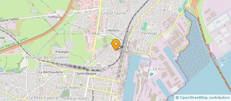 localisation de l'entreprise MONSIEUR DAVID RICHARD  SAINT-NAZAIRE