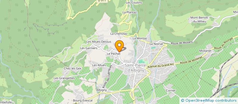 localisation de l'entreprise MONSIEUR DAVID RIONDY  SAINT-PIERRE-D ALBIGNY