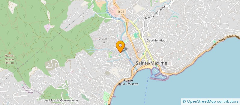 localisation de l'entreprise MONSIEUR DAVID RODRIGUEZ à SAINTE-MAXIME