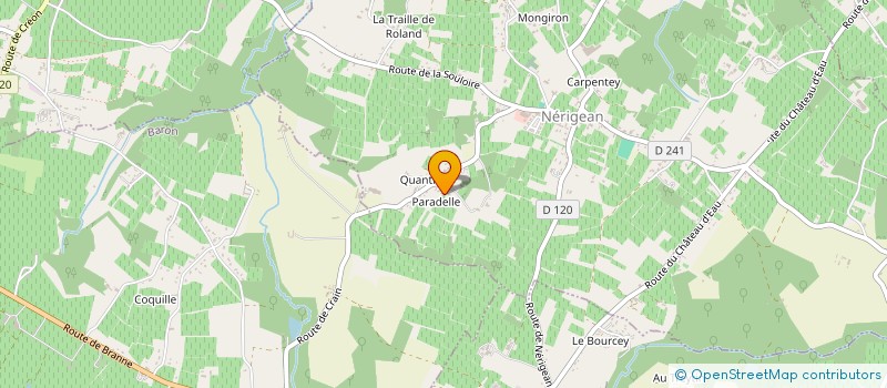 localisation de l'entreprise MONSIEUR DAVID ROMAIN  NERIGEAN